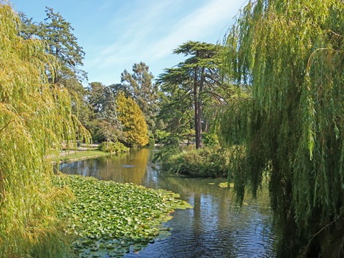 Beacon Hill Park, Victoria BC