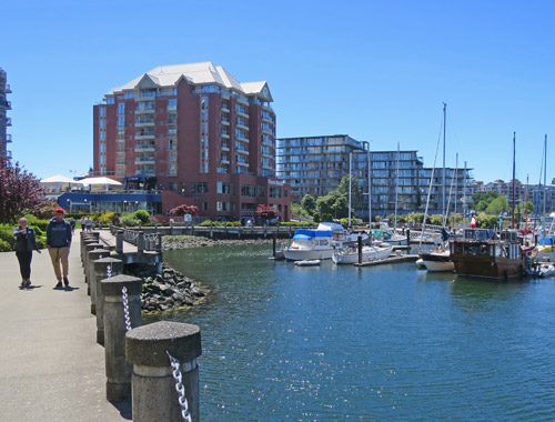 David Foster Harbour Pathway