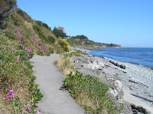 Hiking Trail in Victoria, BC, Canada