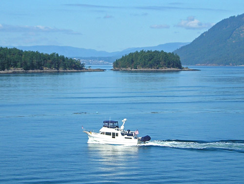 Sport Fishing, Victoria Canada