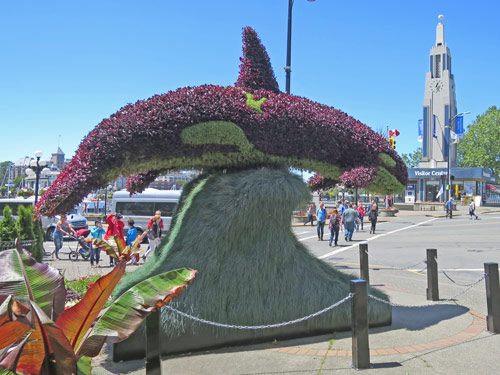 Visitors Centre in Victoria BC