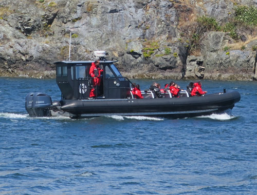 Whale Watching out of Victoria, BC, Canada